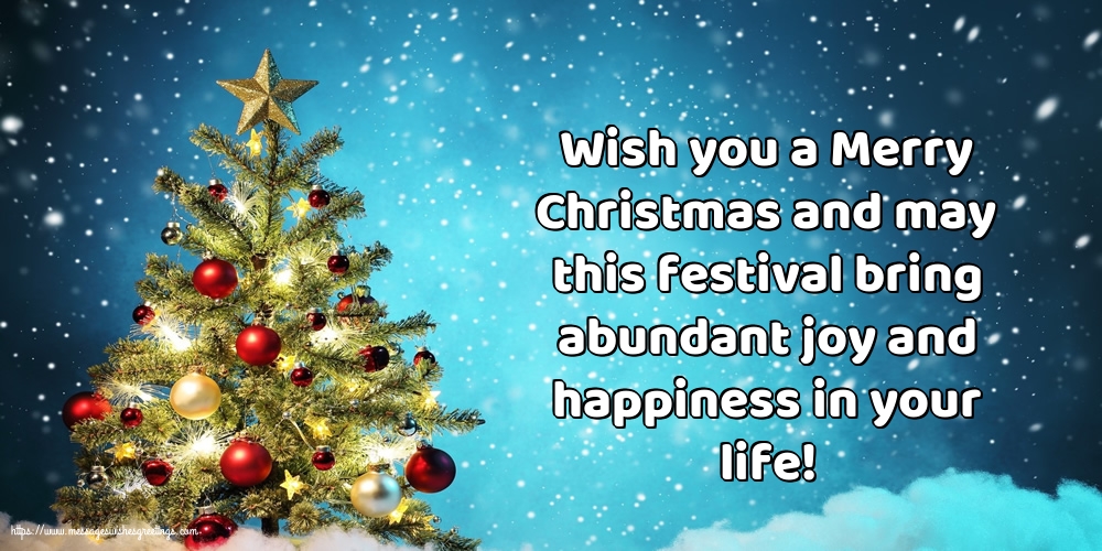 Wish you a Merry Christmas