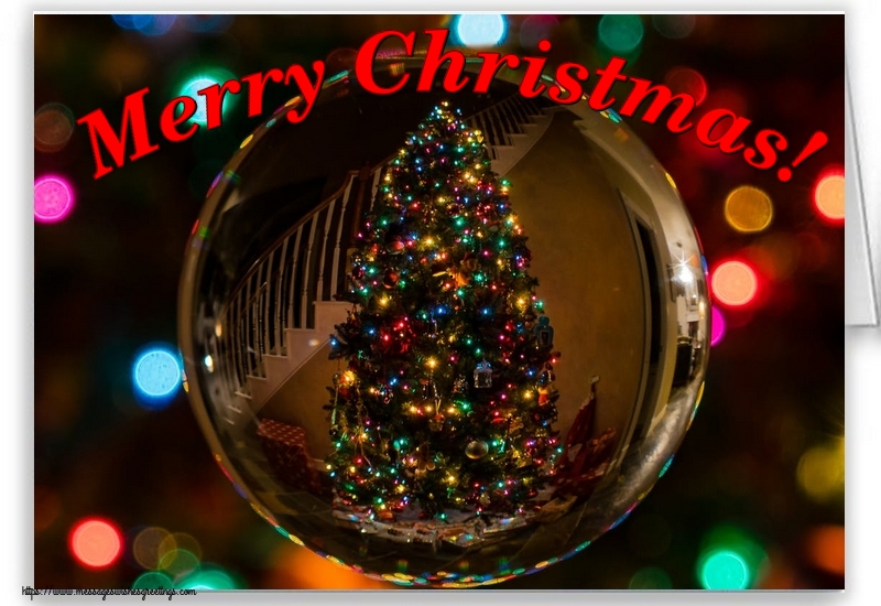 Merry Christmas!