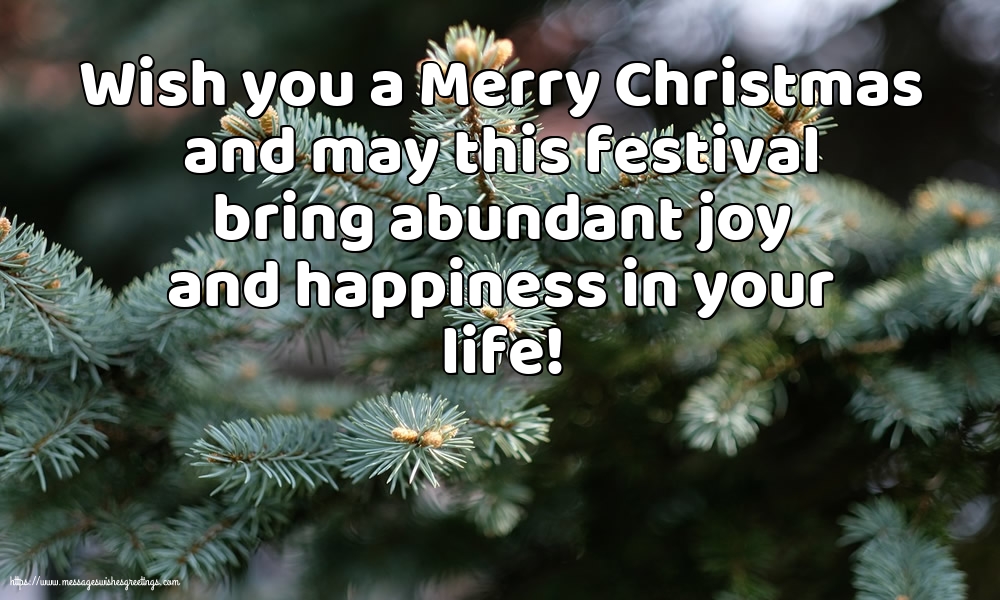 Christmas Wish you a Merry Christmas