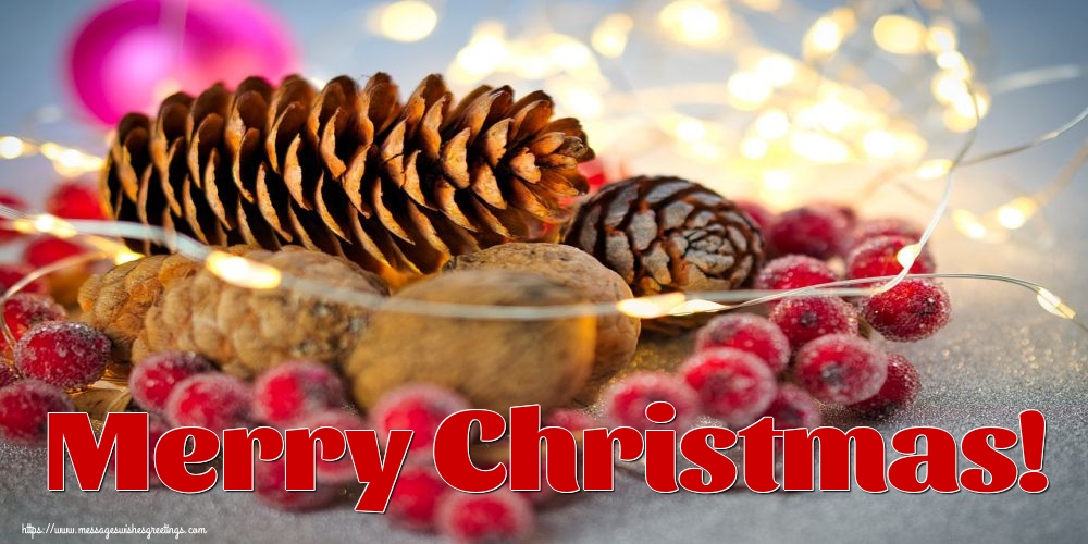 Merry Christmas!