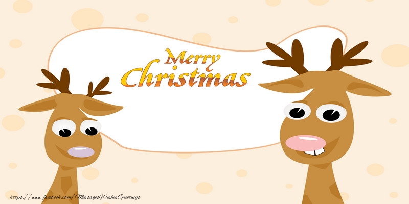 Merry Christmas!