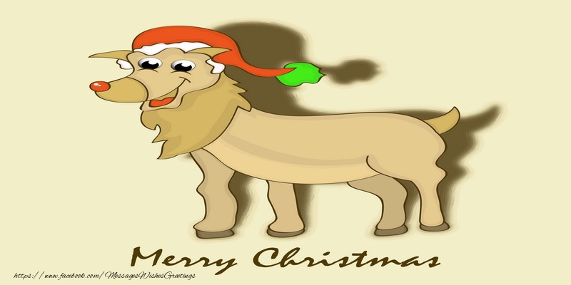 Merry Christmas!