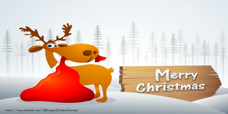 Merry Christmas!