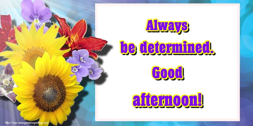 Always be determined. Good afternoon!