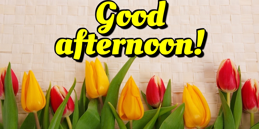 Good afternoon!