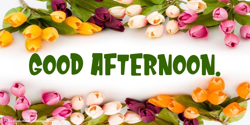Good afternoon.