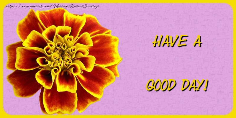 Have a good day!