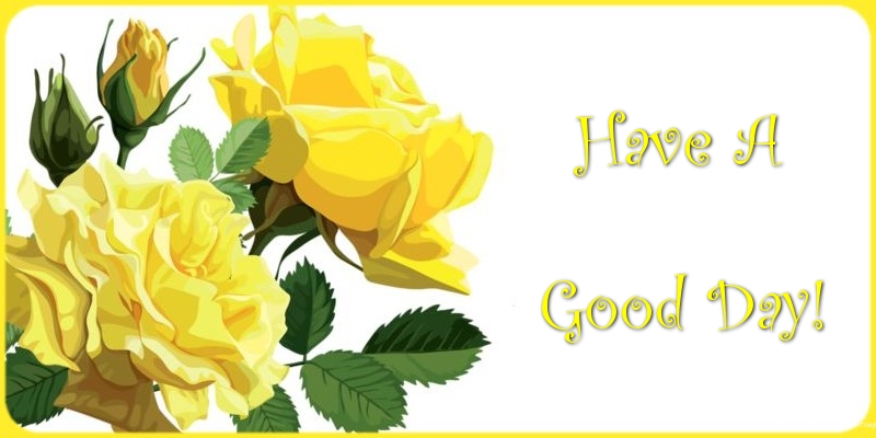 Have a good day!
