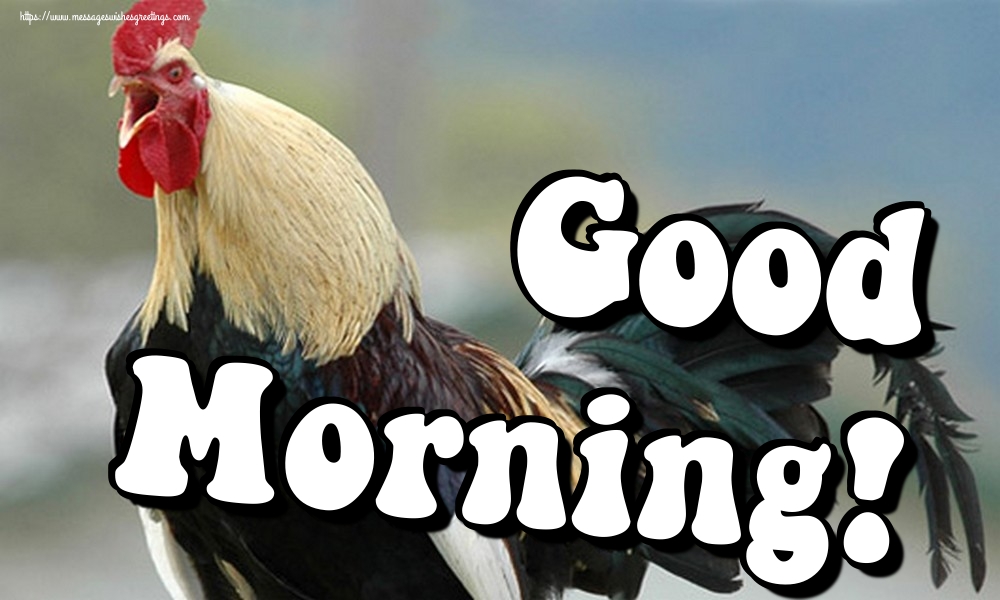 Good Morning!
