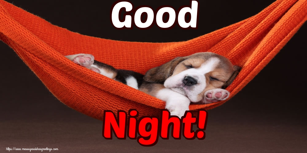 Good Night!