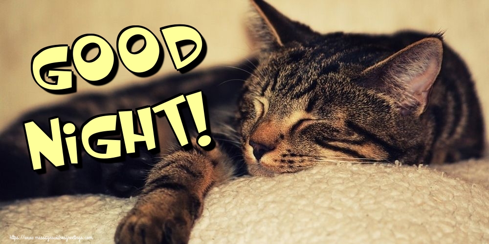 Good Night!