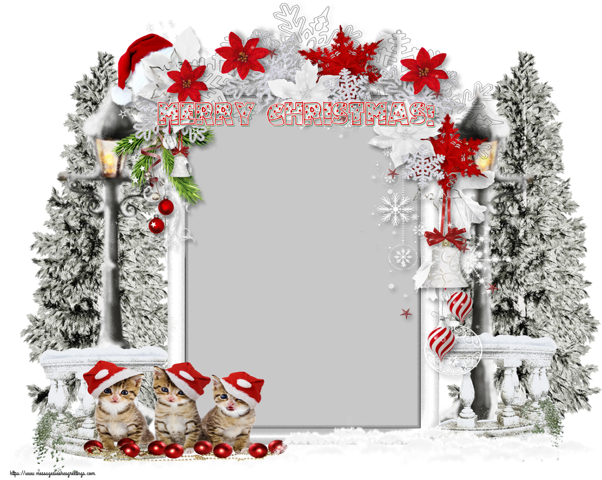 Custom Greetings Cards for Christmas - Merry Christmas! - Christmas Photo Frame