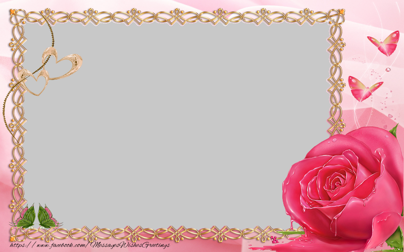 Custom Greetings Cards with Photo - Pink rose photo frame