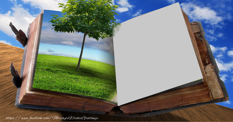 Custom Greetings Cards with Photo - Inside book photo frame