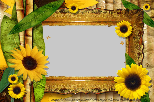 Custom Greetings Cards with Photo - Photo frame
