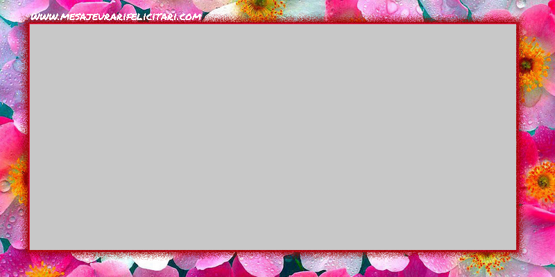 Custom Greetings Cards with Photo - Photo frame with flowers