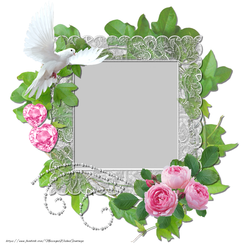 Custom Greetings Cards with Photo - Recreate your profile photo