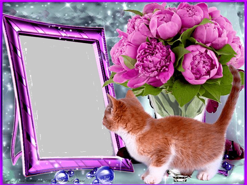 Custom Greetings Cards with Photo - Photo frame