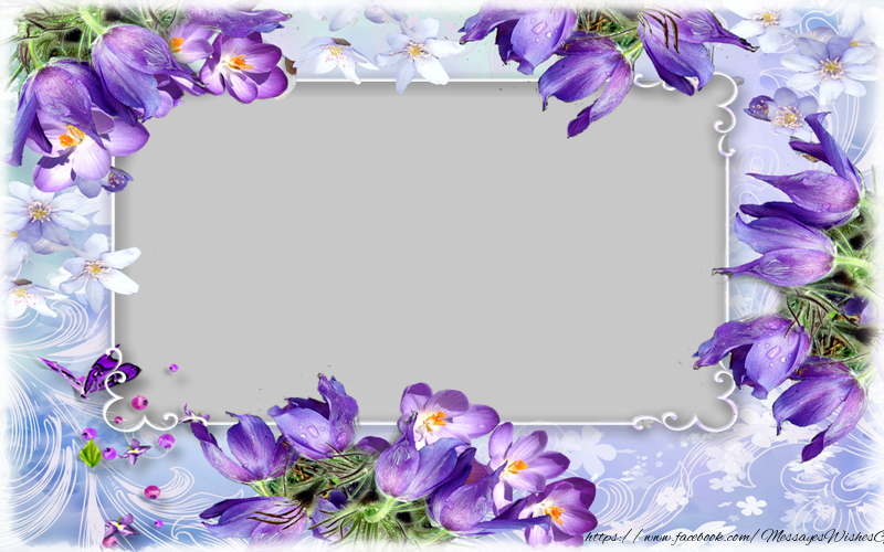 Custom Greetings Cards with Photo - Photo frame