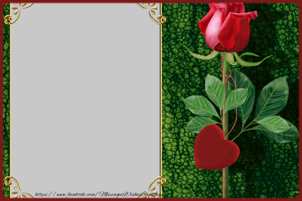 Custom Greetings Cards with Photo - Rose photo frame