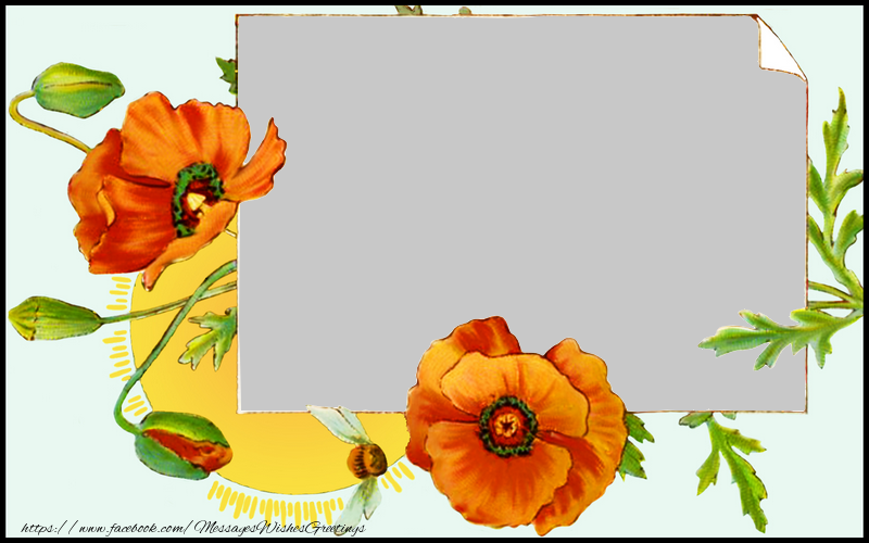 Custom Greetings Cards with Photo - Photo frame