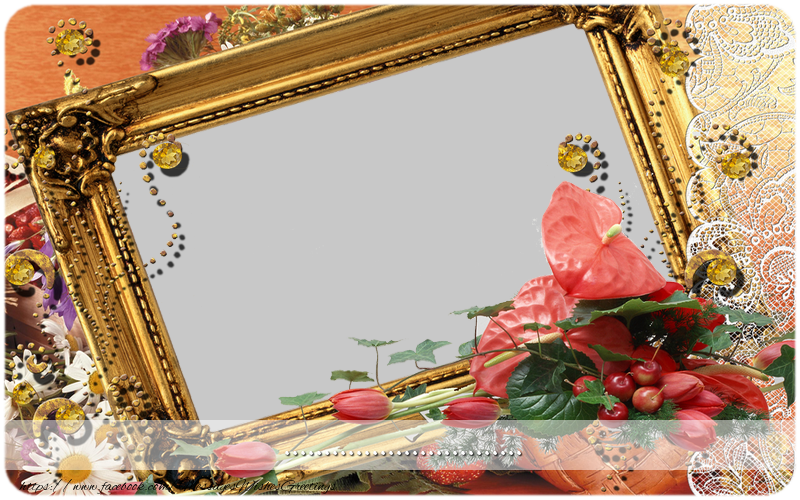 Custom Greetings Cards with Photo - Custom greeting card with picture and text