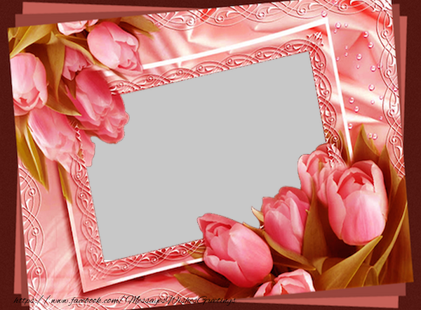 Custom Greetings Cards with Photo - Custom greeting card