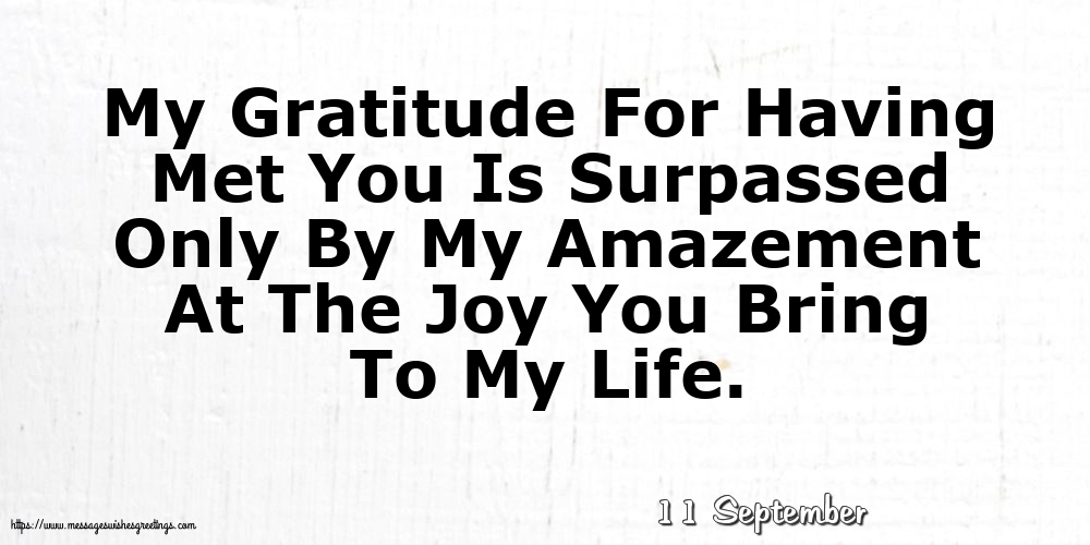 Greetings Cards of 11 September - 11 September - My Gratitude For Having Met You