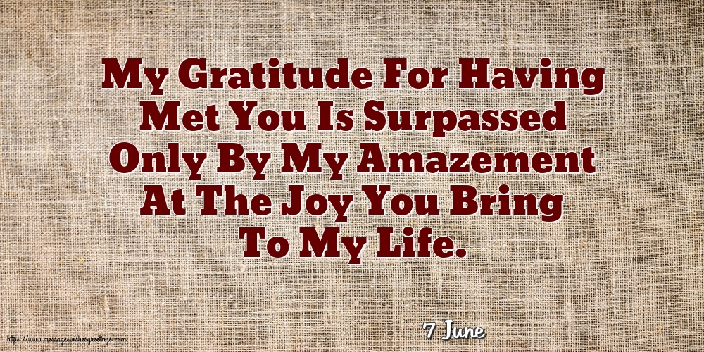 7 June - My Gratitude For Having Met You