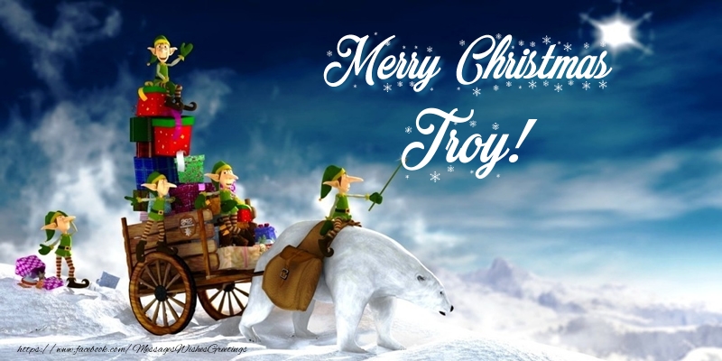 Greetings Cards for Christmas - Merry Christmas Troy!