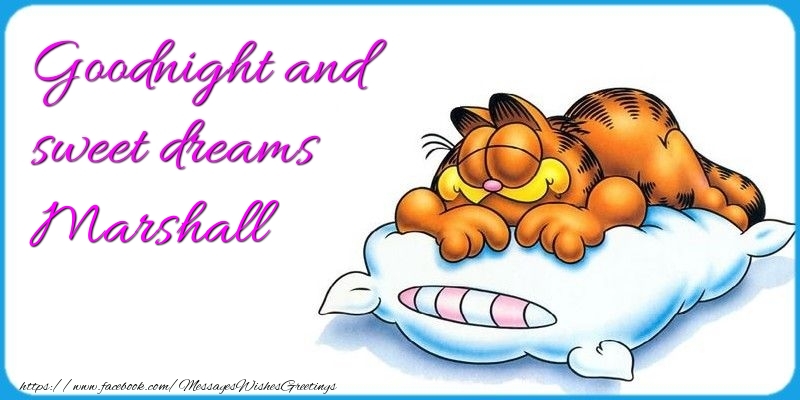 Greetings Cards for Good night - Goodnight and sweet dreams Marshall