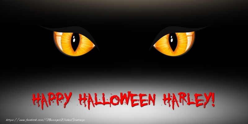 Greetings Cards for Halloween - Happy Halloween Harley!