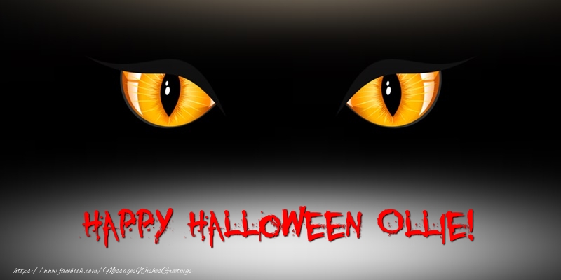 Greetings Cards for Halloween - Happy Halloween Ollie!