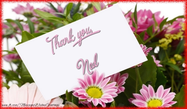 Greetings Cards Thank you - Thank you, Ned