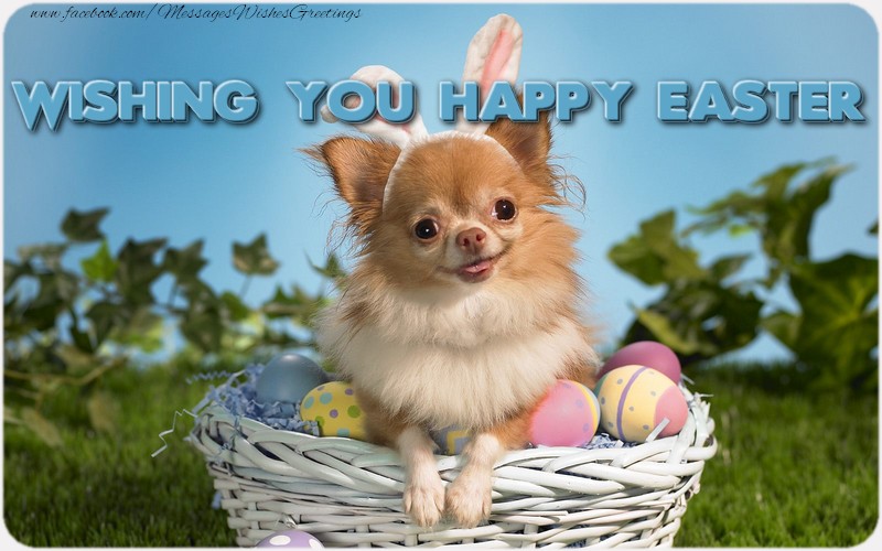 Greetings Cards for Easter - Wishing you Happy Easter - messageswishesgreetings.com