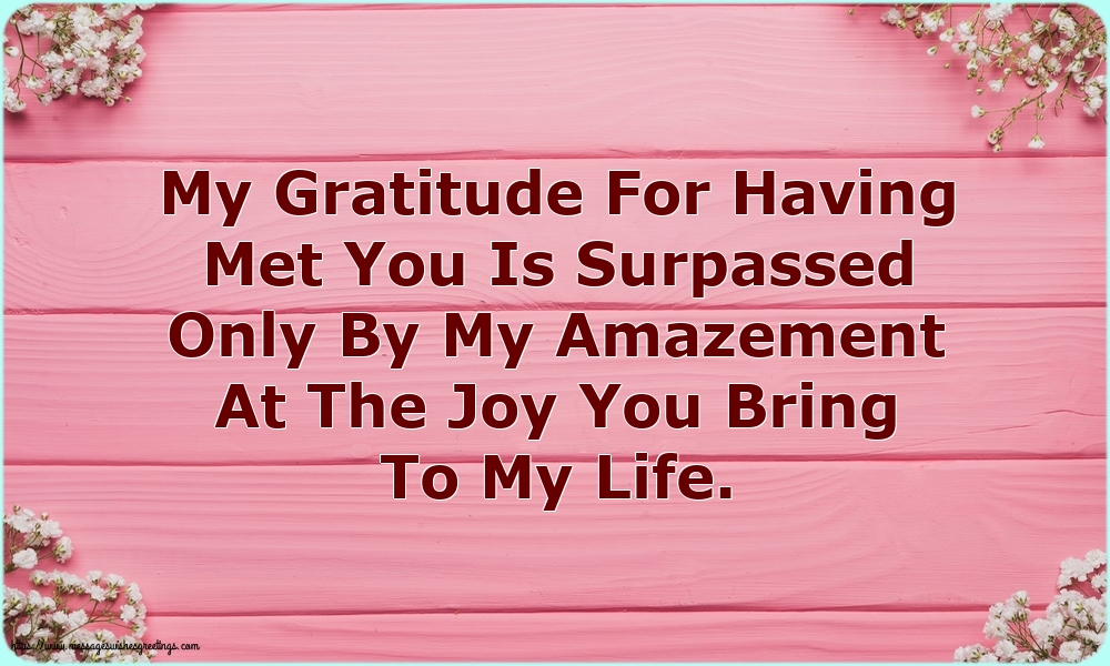 Family My Gratitude For Having Met You