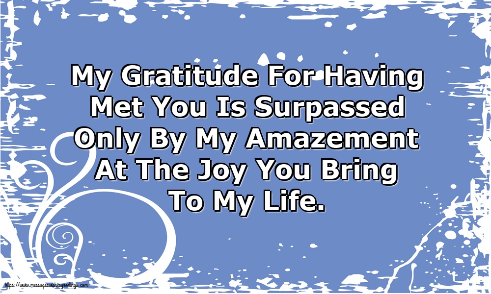 My Gratitude For Having Met You