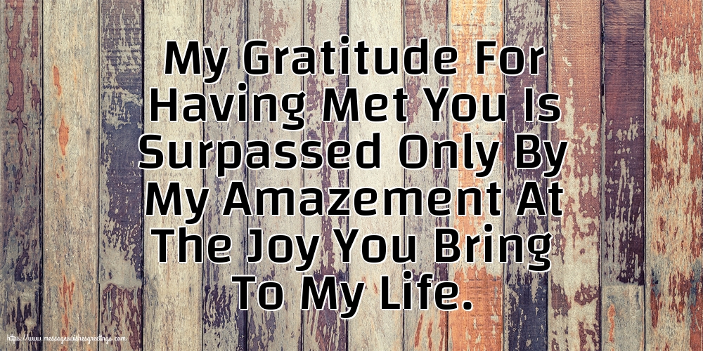 My Gratitude For Having Met You