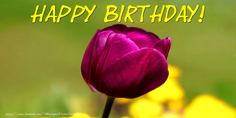 Greetings Cards with flowers - Happy Birthday! - messageswishesgreetings.com