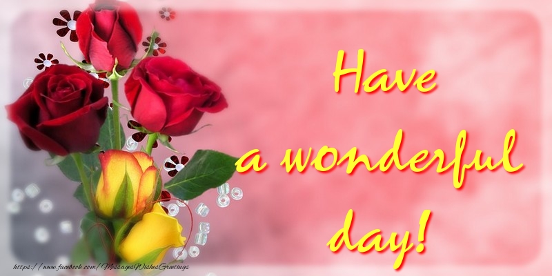 Have a wonderful day!