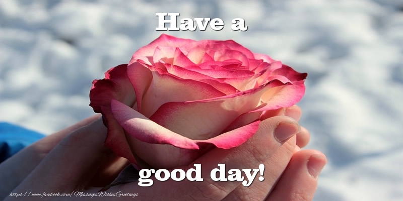 Good day Have a good day!