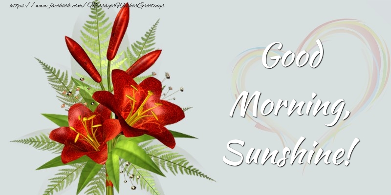 Greetings Cards for Good morning - Good Morning, Sunshine! - messageswishesgreetings.com