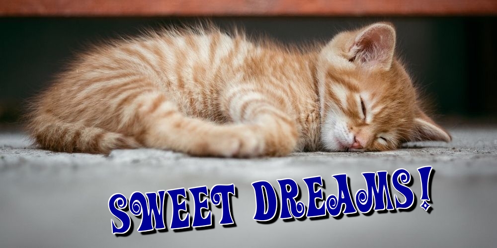 Sweet dreams!