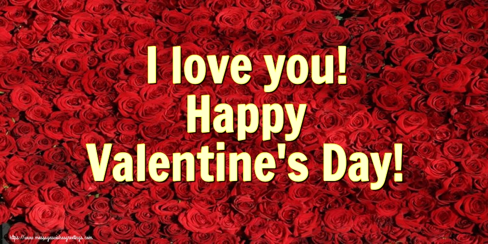 Valentine's Day I love you! Happy Valentine's Day!