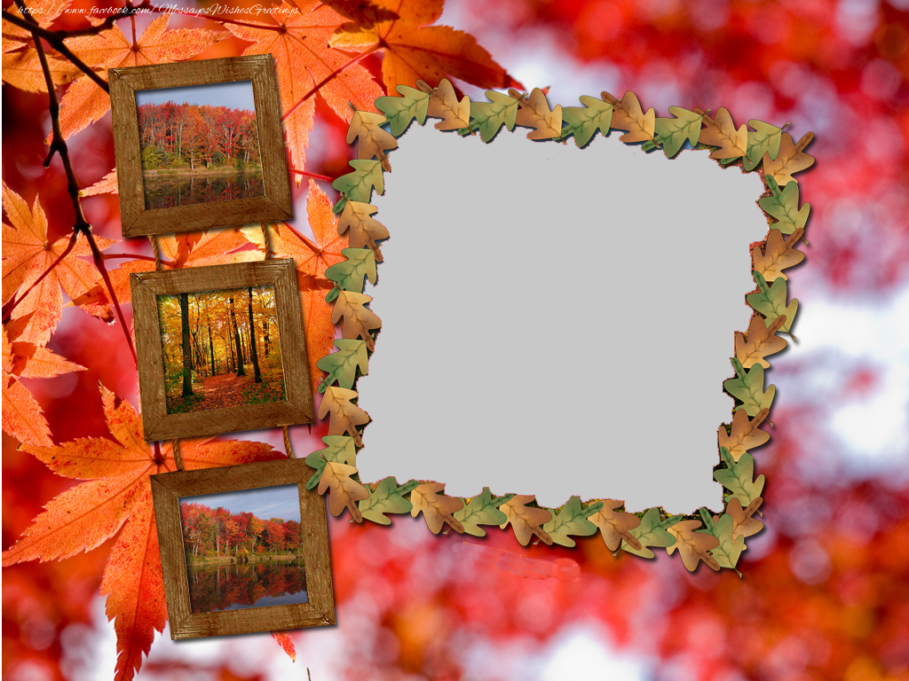 Custom Greetings Cards with Photo - Autumn photo frame with your picture