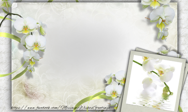 Custom Greetings Cards with Photo - Photo frame with flowers
