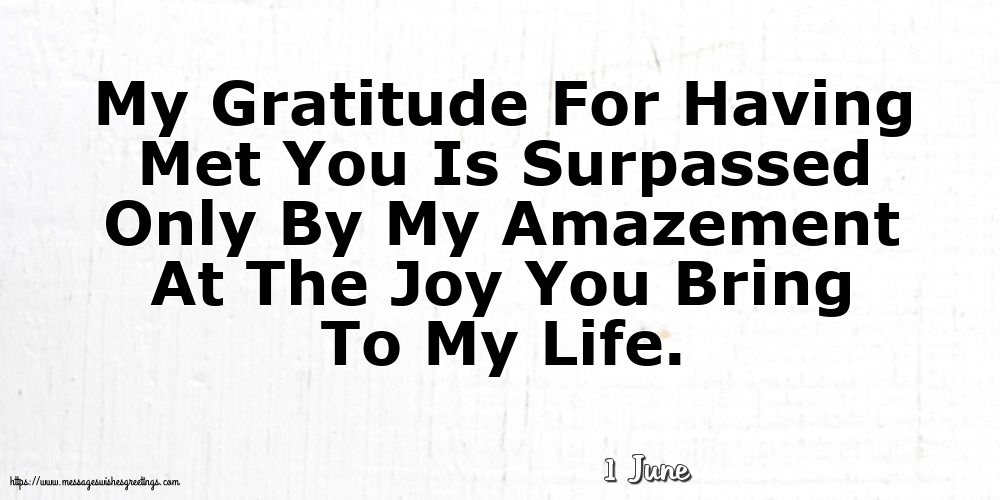 1 June - My Gratitude For Having Met You