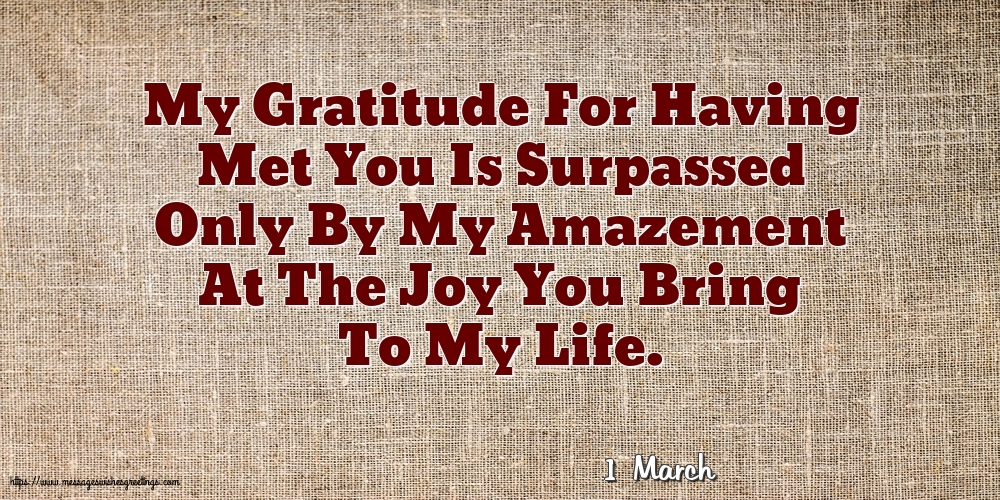 1 March - My Gratitude For Having Met You