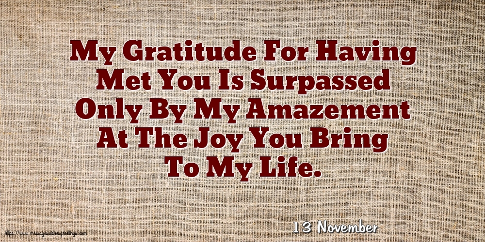 13 November - My Gratitude For Having Met You