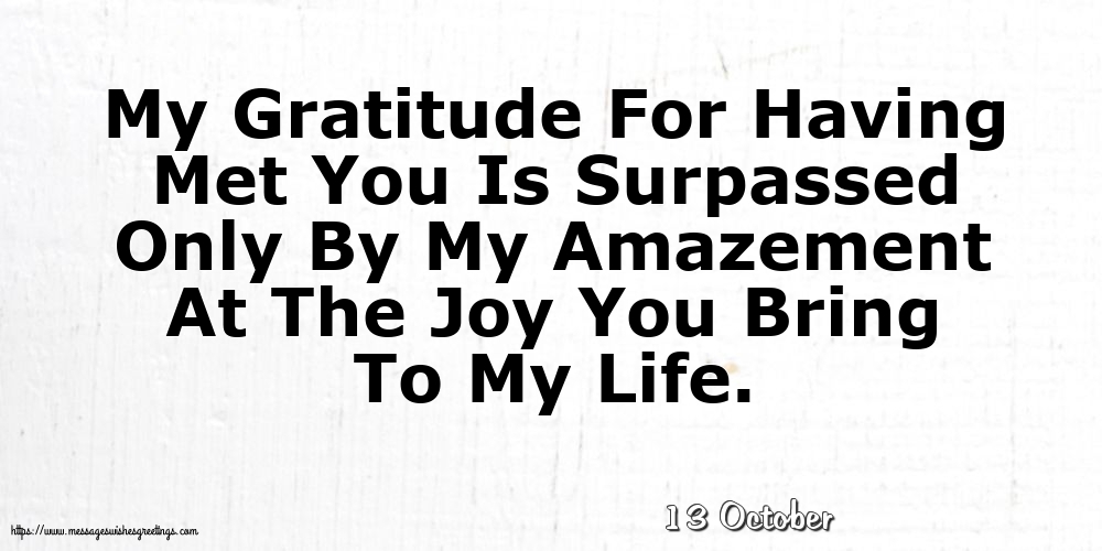 13 October - My Gratitude For Having Met You
